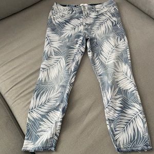 Jordache jeans